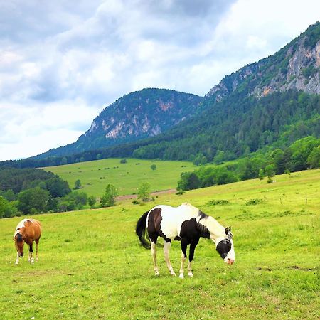 فندق Glamping Hohe Wand - Zelt Mit Sternenfenster Und Whirlpool Maiersdorf المظهر الخارجي الصورة