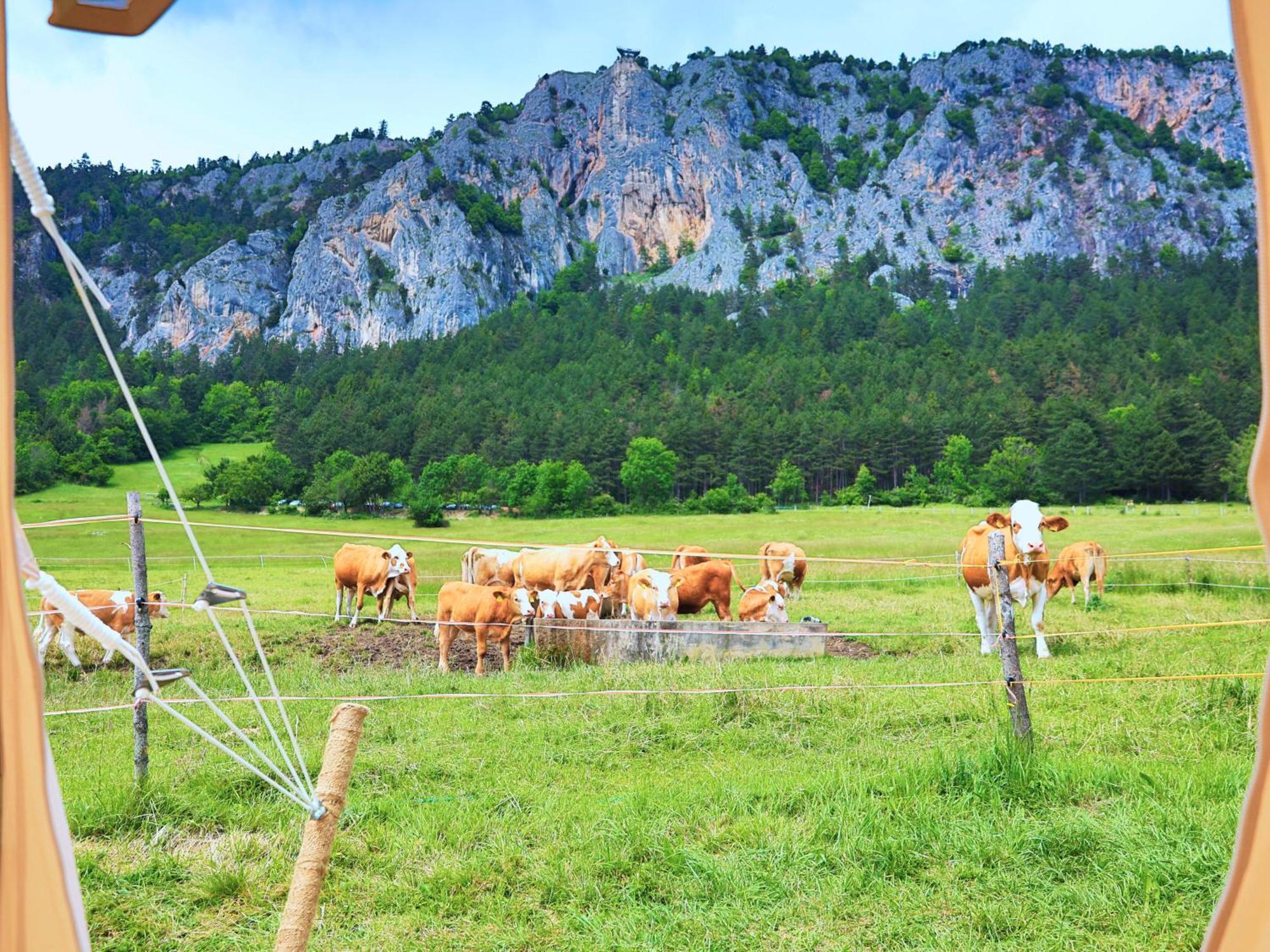فندق Glamping Hohe Wand - Zelt Mit Sternenfenster Und Whirlpool Maiersdorf المظهر الخارجي الصورة
