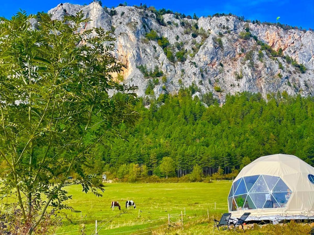 فندق Glamping Hohe Wand - Zelt Mit Sternenfenster Und Whirlpool Maiersdorf المظهر الخارجي الصورة